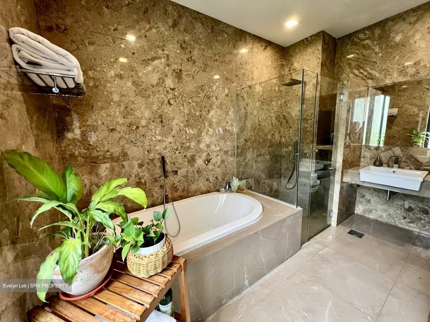 Raffles Park (D11), Detached #584949061